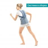 Модуль грудопоясничный для BS-222, арт. BS-222 (1) Dorsal универсальный серый